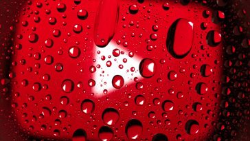 Water Droplets on Red Surface